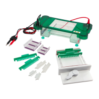 Горизонтальный электрофорез BN-SPFT