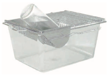 Конвенциональное содержание грызунов