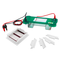 Горизонтальный электрофорез BN-SPBT