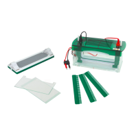 Вертикальный электрофорез BN-CZ-B