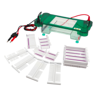 Горизонтальный электрофорез BN-SPCT