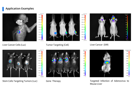 Многорежимная система визуализации животных in vivo AniView 100 Pro