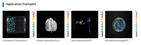 Система визуализации растений PlantView 100 In Vivo
