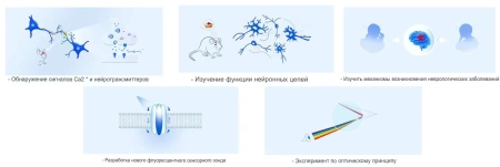 Трехцветная многоканальная оптоволоконная система фотометрии RWD R821