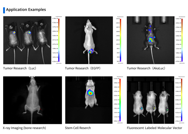 Многорежимная система визуализации животных in vivo AniView 600