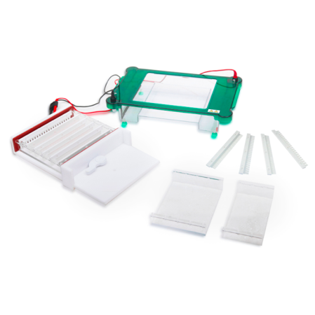 Горизонтальный электрофорез BN-SPGT