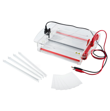 Горизонтальный электрофорез BN-SP7