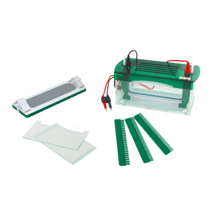 Вертикальный электрофорез BN-CZ-B