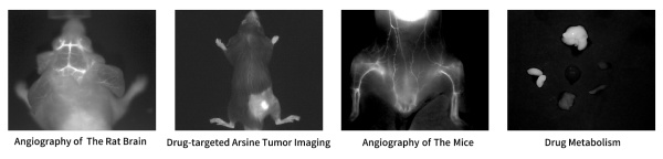 Система визуализации in vivo AniView 30F NIR-Ⅱ