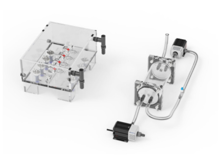 Система измерения дыхательного метаболизма водных организмов