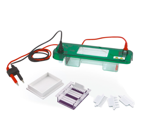 Горизонтальный электрофорез BN-SPAT