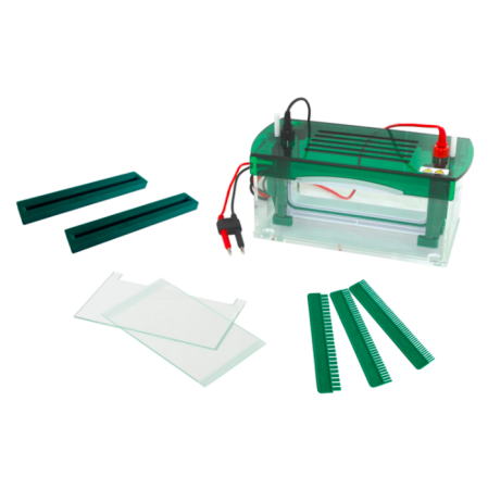 Вертикальный электрофорез BN-JX5L