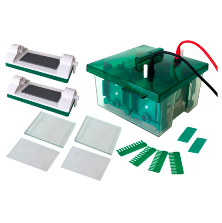 Вертикальный электрофорез BN-Mini-P4